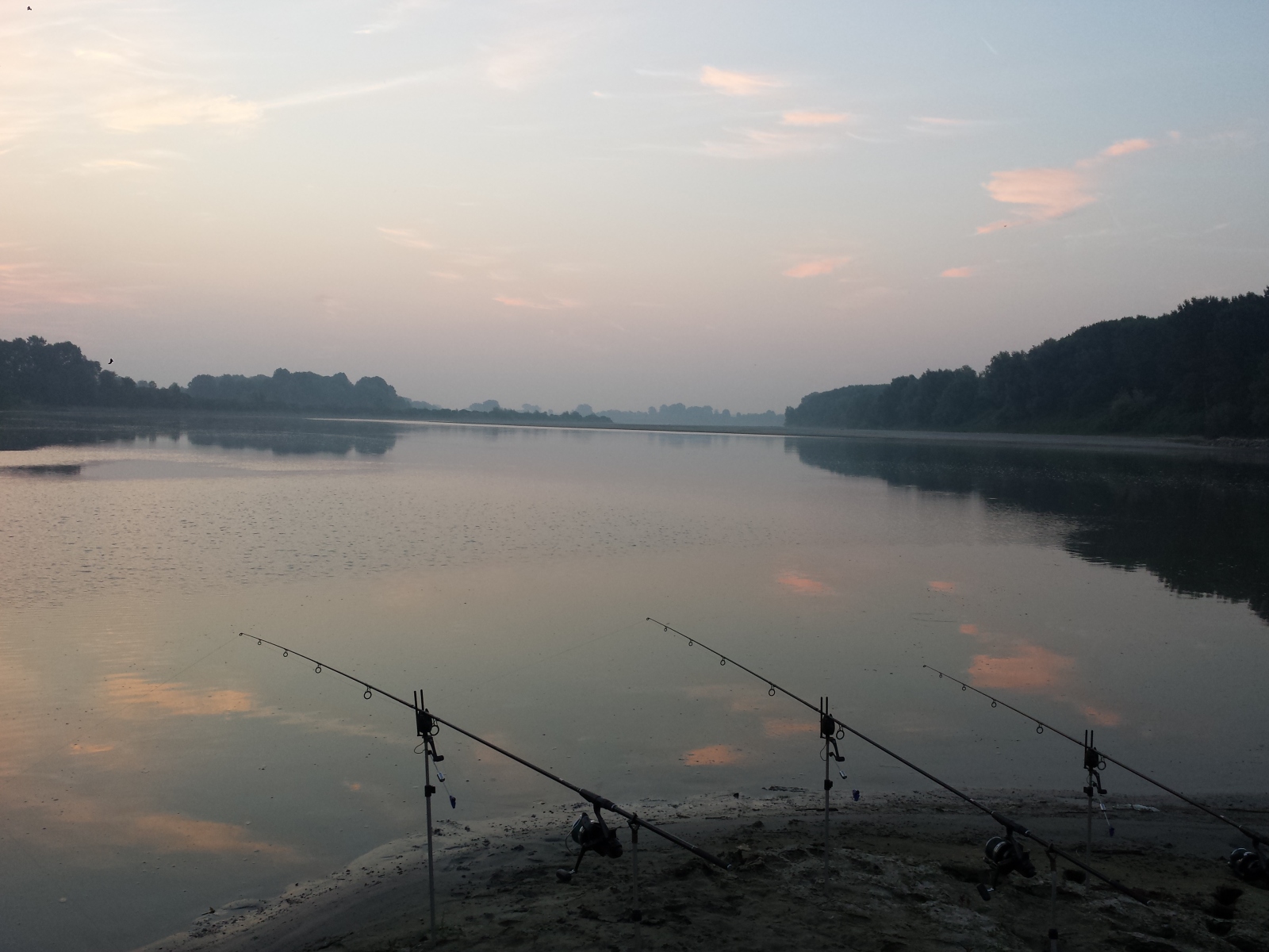 Fiume Po 2015